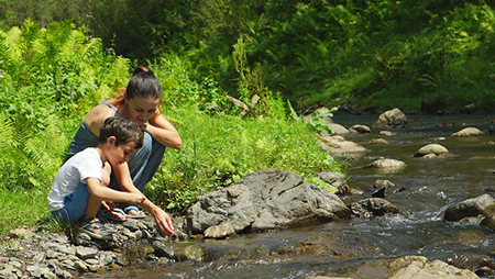 natyre et environnemeny