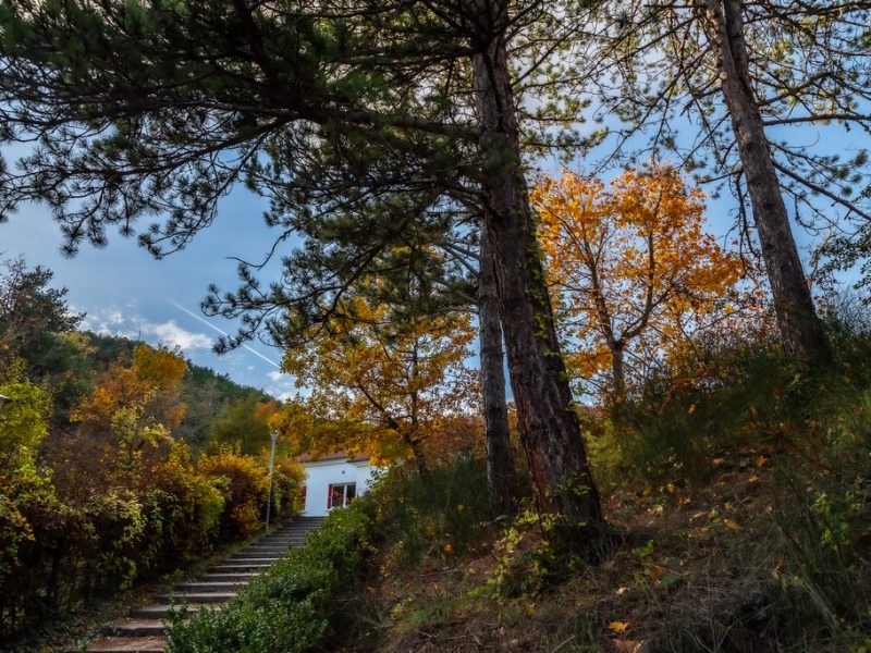 La maison d ambel sur le gite de la maison du col à marginac en diois