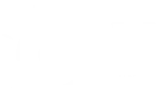Logo_blanc_fond_transparent