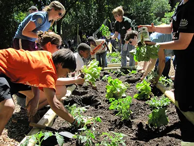 theme-classes-alimentation-3