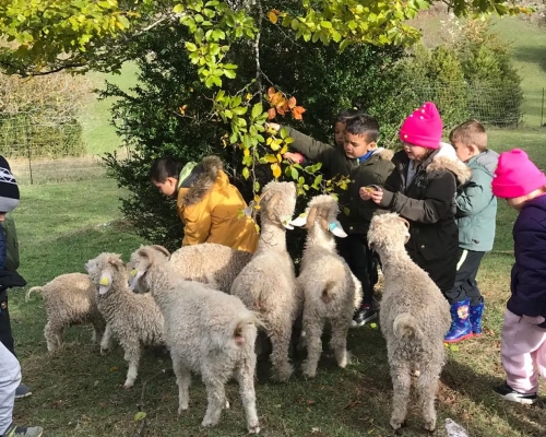 Montagnard 3-7 ans 2